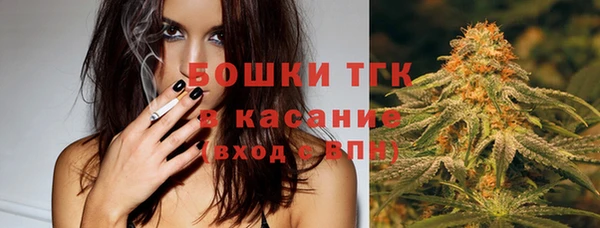 амф Арсеньев