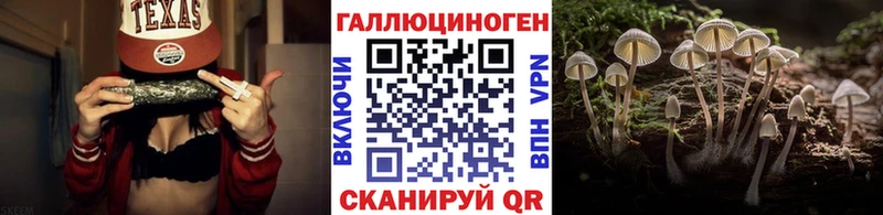 KRAKEN   Тогучин  Галлюциногенные грибы Cubensis 