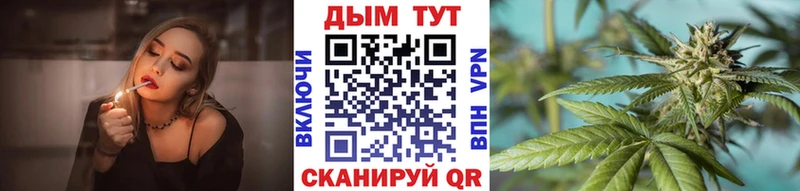 цена   Тогучин  МАРИХУАНА семена 
